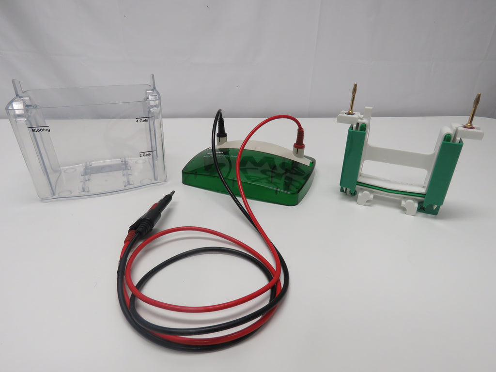 BIO RAD MINI PROTEAN Tetra Cell System 552BR -  2 GEL System