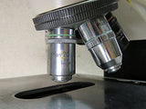 Nikon Labophot Microscope w/ 2x, 4x, 10x, 20x & 40x Optics, Condenser, Dual Head