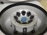 2019 Thermo Scientific Small Benchtop Medifuge Centrifuge with Rotor - Exceptional Condition!