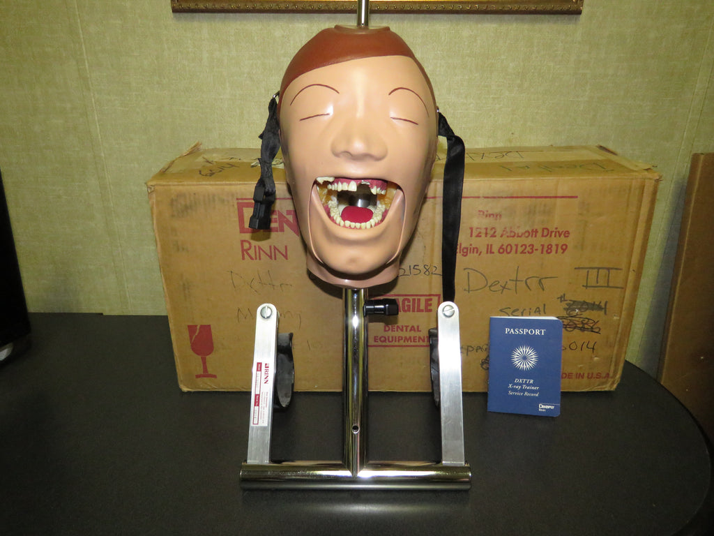 Dental School X-Ray Teaching Trainer Dentsply RINN DXTTR III MANNEQUIN Natural Head 54/6001