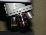 American Optical AO Spencer "Fifty" Stereo inspection microscope 100x 45x Objectives