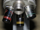 American Optical AO Spencer "Fifty" Stereo inspection microscope 100x 45x Objectives