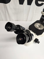 Fisher Scientific Inverted Microscope 20x 10x 4x Objectives, 12-575-250