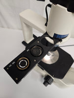 Fisher Scientific Inverted Microscope 20x 10x 4x Objectives, 12-575-250