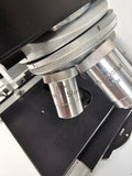 Leitz Dialux Trinocular Head Microscope w/ four objectives