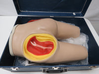 NASCO LifeForm Intramuscular Injection Simulator LF00961U Manikin & Case #1