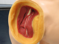 NASCO LifeForm Intramuscular Injection Simulator LF00961U Manikin & Case #2