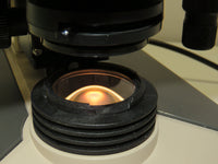 Olympus Ch-2 CHT Microscope W/ 4x, 10x, 40x, 100x Objectives - TESTED