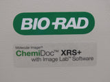 2019 Biorad Chemidoc XRS+ Molecular Imaging System, Image Lab PC, White Light Screen