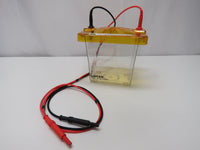 Lonza PAGEr Minigel Chamber Electrophoresis with Blot Module