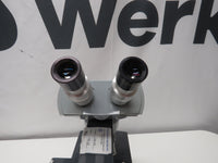 VINTAGE Series 10-118 American Optical AO Stereo microscope w/ Objectives Lamp