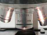 AO American Optical One-ten 110 1.25x Microscope w/ 100x 40x 10x 4x Objectives