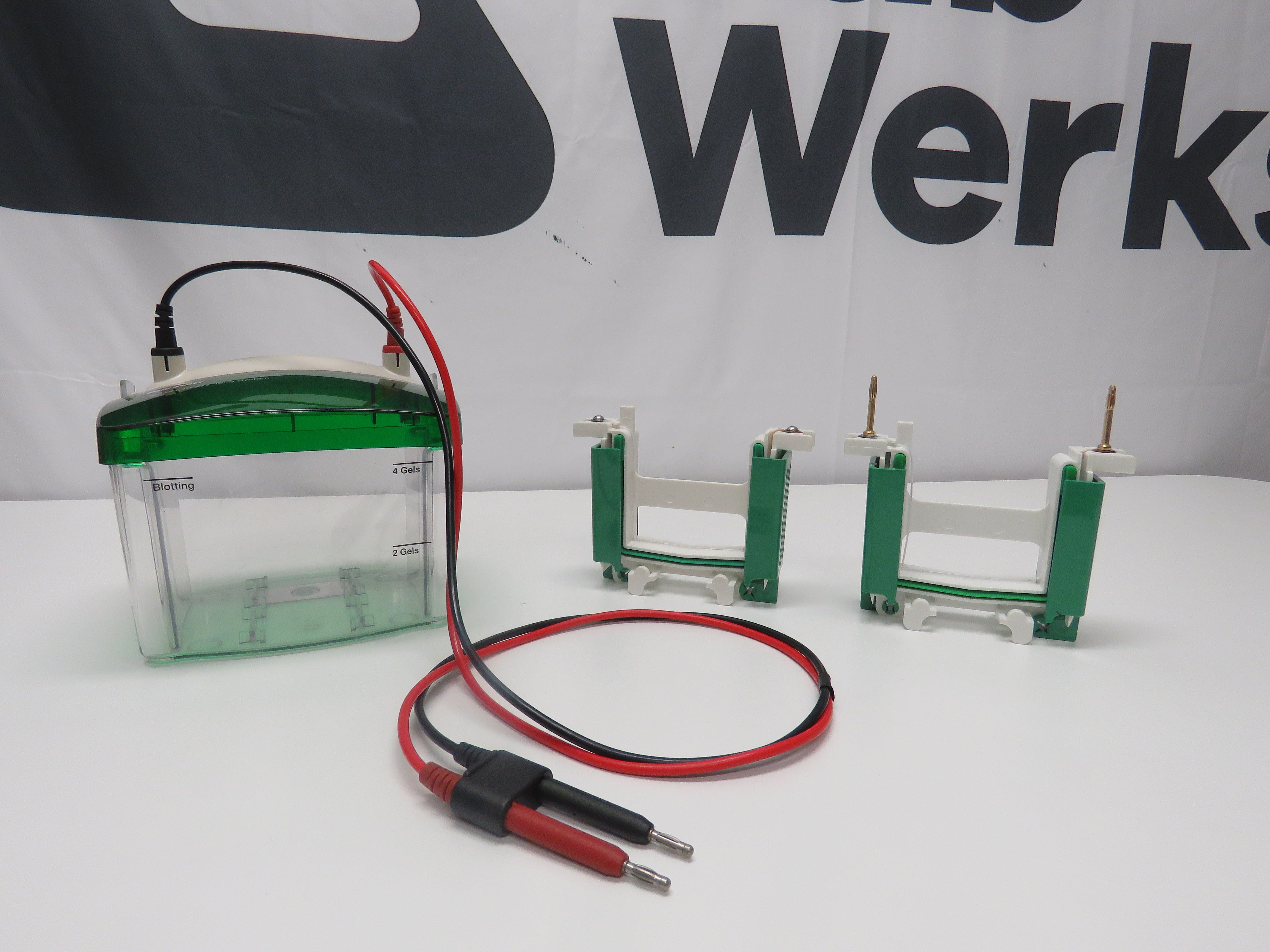 BIO RAD MINI PROTEAN Tetra Cell System 552BR - 4 GEL System | Express ...