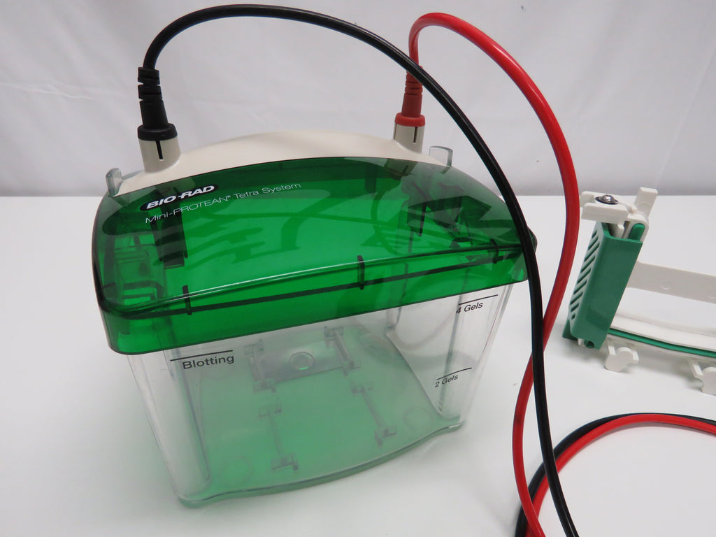 BIO RAD MINI PROTEAN Tetra Cell System 552BR - 4 GEL System | Express ...