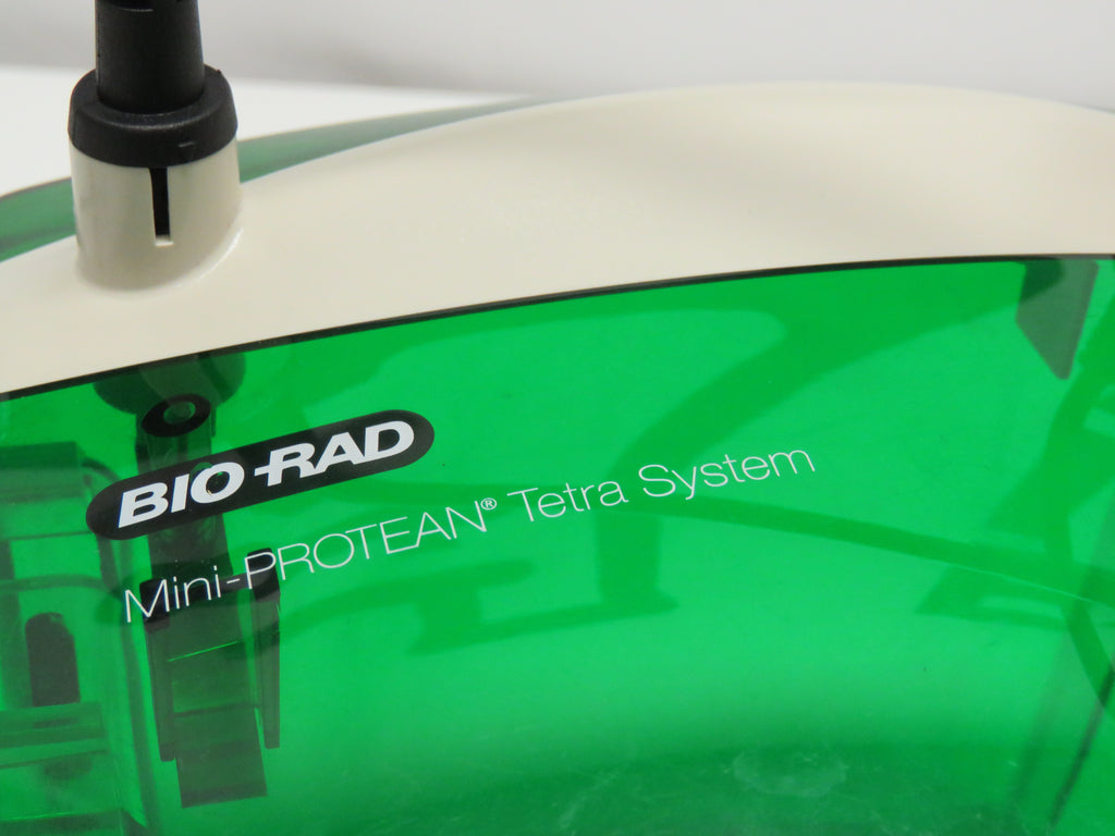 BIO RAD MINI PROTEAN Tetra Cell System 552BR - 4 GEL System | Express ...