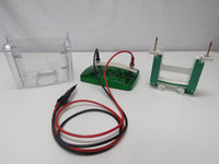 BIO RAD MINI PROTEAN Tetra Cell System 552BR -  2 GEL System