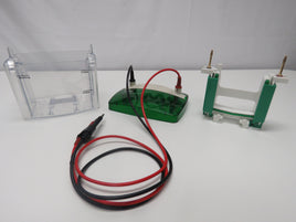 BIO RAD MINI PROTEAN Tetra Cell System 552BR -  2 GEL System