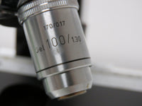 Vintage Ernst Leitz Wetzlar Binocular Head Microscope w/ 100x 40x 10x Objectives