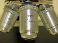Vintage Ernst Leitz Wetzlar Binocular Head Microscope w/ 100x 40x 10x Objectives
