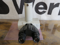 Nikon Microscope Eclipse E400 Trinocular Head with Photo Tube & Eyepieces
