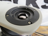 NIKON ECLIPSE 50i MICROSCOPE BODY/STAND - No objectives