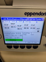 Eppendorf MasterCycler EpGradient S Model 5345 96 well Thermocycler PCR