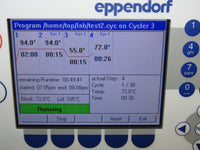 Eppendorf MasterCycler Pro-S Model 6325 w/ 2 Model 6321 PRO and 6320 Controller
