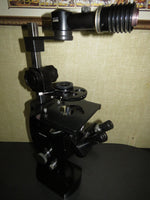 Wild Heerbrugg M40 Binocular Inverted Microscope with Sixtuple Turret