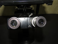 Wild Heerbrugg M40 Binocular Inverted Microscope with Sixtuple Turret