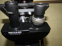 Wild Heerbrugg M40 Binocular Inverted Microscope with Sixtuple Turret
