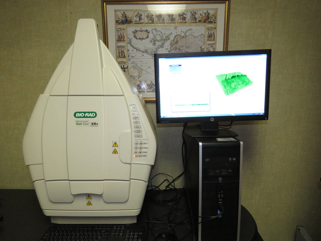 Biorad Gel Doc XR+ Imaging System with IMAGE LAB 6.1 Computer