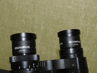 Olympus U-TR30-2 Trinocular Microscope Head BX Series w/ WHN10x/22 Eyepieces