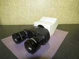 Olympus U-CBI30-2 Binocular Microscope Head BX Series w/ WHB10x-H/20 Eyepieces