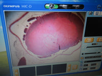 Olympus MIC-D Inverted Digital Microscope w/ Laptop & Image Recording Software