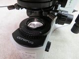 Olympus BX41TF microscope with U-AC2 condenser, U-BI30-2 widefield binocular Head, 3 objectives