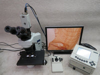 Olympus BX45TF microscope, 4 objectives, PRIOR motorized stage, digital imaging