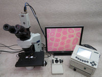 Olympus BX45TF microscope, 4 objectives, PRIOR motorized stage, digital imaging