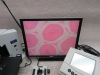 Olympus BX45TF microscope, 4 objectives, PRIOR motorized stage, digital imaging
