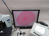 Olympus BX45TF microscope, 4 objectives, PRIOR motorized stage, digital imaging