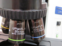 Olympus BX45TF microscope, 4 objectives, PRIOR motorized stage, digital imaging