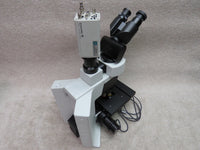 Olympus BX45TF microscope, 4 objectives, PRIOR motorized stage, digital imaging