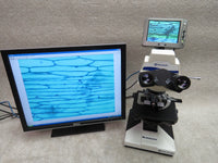 Fisher Scientific Micromaster 12-563-31 microscope, 4 objectives, digital imaging, LCD viewer