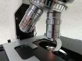 Fisher Scientific Micromaster 12-563-31 microscope, 4 objectives, digital imaging, LCD viewer