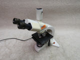 Leica DMLS microscope, trinocular head, 4 objectives