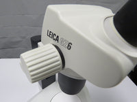 Leica GZ6 Stereo Zoom Microscope with transmitted light / reflected light table