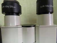 Zeiss Axiostar Plus Microscope
