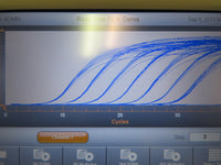 Bio-Rad C1000 Touch Thermal Cycler Thermocycler w/ 96W Deep Reaction Module