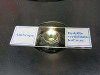 Zeiss TELAVAL 31 Inverted Microscope - Excellent Condition