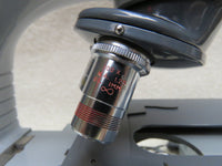 American Optical AO Spencer 1036 Microscope - Good condition