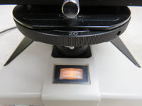 Nikon Labophot Microscope w/ 10x, 20x DIC, 40x DIC, 100x DIC Optics, nice!
